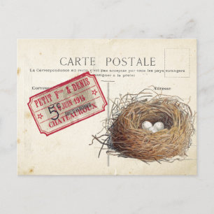 Carte Postale Bird Set 4 of 4 (Bird's Nest Ticket) Briefkaart