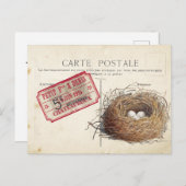 Carte Postale Bird Set 4 of 4 (Bird's Nest Ticket) Briefkaart (Voorkant / Achterkant)