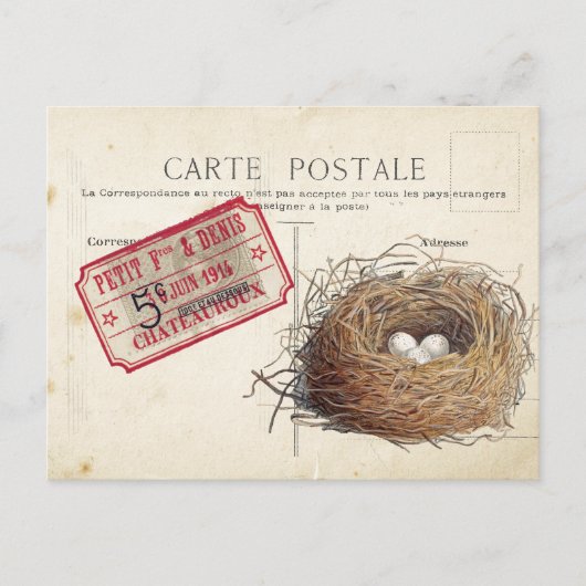 Carte Postale Bird Set 4 of 4 (Bird's Nest Ticket) Briefkaart (Voorkant)