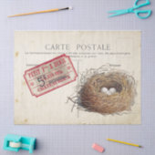 Carte Postale Bird Set 4 of 4 (Bird's Nest Ticket) Tissuepapier (Craft)