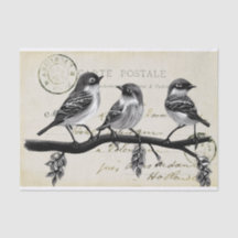 Carte Postale Birds on a Branch (Frans Briefkaart)