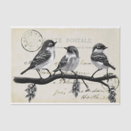 Carte Postale Birds on a Branch (Frans Briefkaart) Tissuepapier
