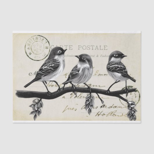 Carte Postale Birds on a Branch (Frans Briefkaart) Tissuepapier (Voorkant)