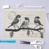 Carte Postale Birds on a Branch (Frans Briefkaart) Tissuepapier (Craft)