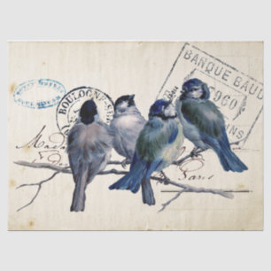 Carte Postale Blauwe Vogel Chickade Frans Postmerk Tissuepapier