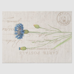 Carte Postale Blue Cornflower Floral Tissuepapier