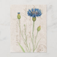 Carte Postale Blue Cornflower Franse Floral