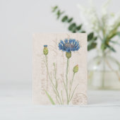 Carte Postale Blue Cornflower Franse Floral Briefkaart (Staand voorkant)