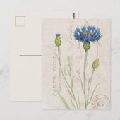 Carte Postale Blue Cornflower Franse Floral Briefkaart (Voorkant / Achterkant)
