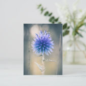 Carte postale Chardon bleu Briefkaart (Staand voorkant)