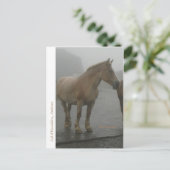 Carte postale cheval sous la pluie briefkaart (Staand voorkant)