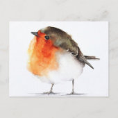 Carte Postale Dessin rouge gorge Briefkaart (Voorkant)