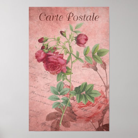 Carte Postale Diep & Bord Roze Rozen Poster (Voorkant)