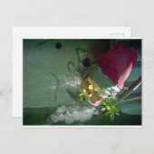 Carte Postale Dirty Christmas Feestdagenkaart (Voorkant / Achterkant)