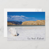 Carte postale Djibouti Briefkaart (Voorkant / Achterkant)