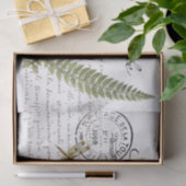 Carte Postale Dragonfly Fern Franse Manuscript  Tissuepapier (Geschenk)