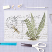 Carte Postale Dragonfly Fern Franse Manuscript  Tissuepapier (Craft)