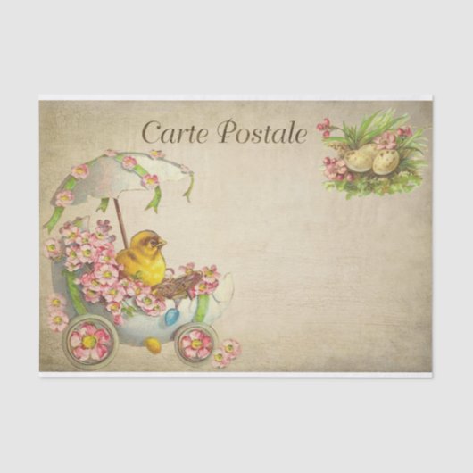 Carte Postale Easter Baby Chick in een eierauto Tissuepapier (Voorkant)