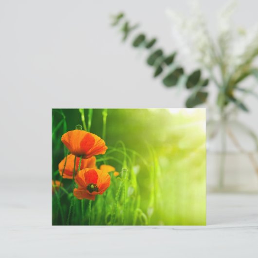 Carte postale - fleurs de coquelicots briefkaart (Staand voorkant)