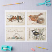 Carte Postale French Bird Nest and Eggs Set Tissuepapier (Craft)