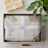 Carte Postale French Bird Nest and Eggs Set Tissuepapier (Geschenk)