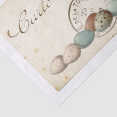 Carte Postale French Bird Nest and Eggs Set Tissuepapier (Detail)