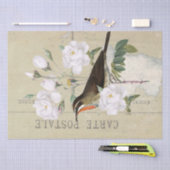 Carte Postale French Bird White Rose ontlepagina Tissuepapier (Craft)