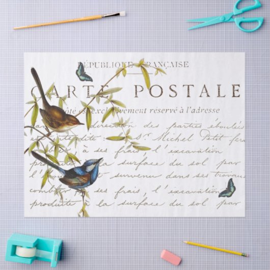Carte Postale French Script Bird Butterfly Tissuepapier (Craft)