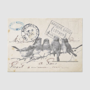 Carte Postale French Songbird on a Branch Tissuepapier