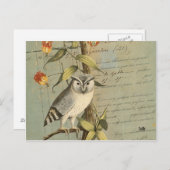 Carte postale hibou briefkaart (Voorkant / Achterkant)
