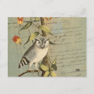 Carte postale hibou briefkaart