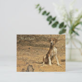 Carte postale Idi du Sahel Briefkaart (Staand voorkant)