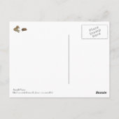 Carte postale Idi du Sahel Briefkaart (Achterkant)