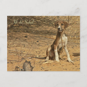 Carte postale Idi du Sahel Briefkaart