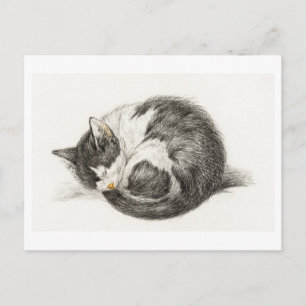 Carte Postale Joyeux Anniversaire Chaton Briefkaart