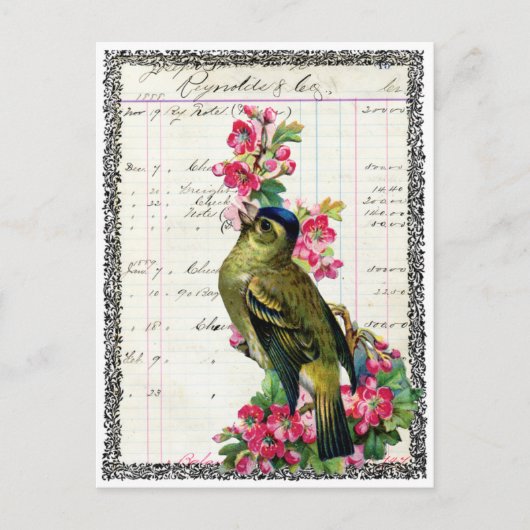 Carte postale oiseau briefkaart (Voorkant)