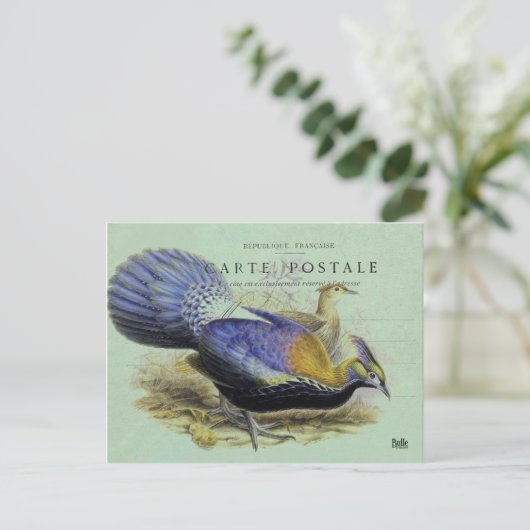 Carte postale oiseau violet briefkaart (Staand voorkant)