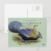 Carte postale oiseau violet briefkaart (Voorkant / Achterkant)