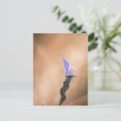 Carte postale papillon Argus bleu Briefkaart (Staand voorkant)