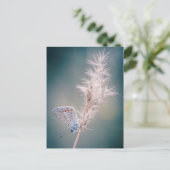 Carte postale papillon Argus bleu Briefkaart (Staand voorkant)