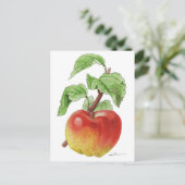 Carte postale " Pomme Jeanne Hardy " Briefkaart (Staand voorkant)