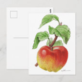 Carte postale " Pomme Jeanne Hardy " Briefkaart (Voorkant / Achterkant)