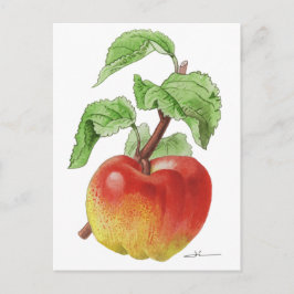 Carte postale " Pomme Jeanne Hardy " Briefkaart