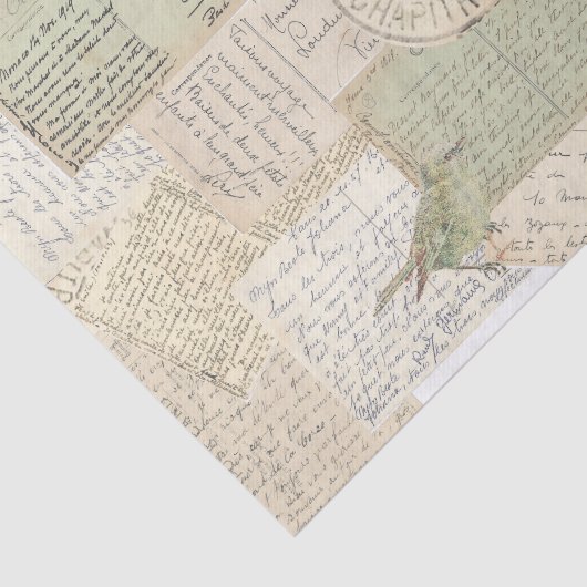 Carte Postale Postmark Bird  Collage Tissuepapier (Detail)