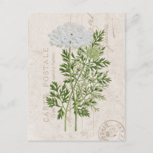 Carte Postale Queen's Lace French Floral Briefkaart