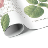 Carte Postale Roze Roze Franse Manuscript  Cadeaupapier (Rol Hoek)