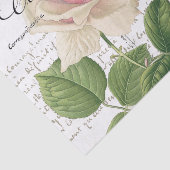 Carte Postale Roze Roze Franse Manuscript  Tissuepapier (Detail)