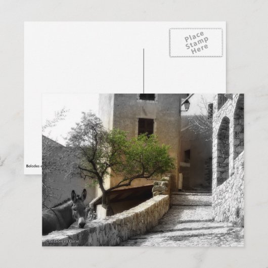 Carte postale SANT'ANTONINO Briefkaart (Voorkant / Achterkant)