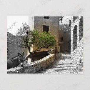 Carte postale SANT'ANTONINO Briefkaart