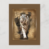 Carte postale tigre blanc briefkaart (Voorkant)